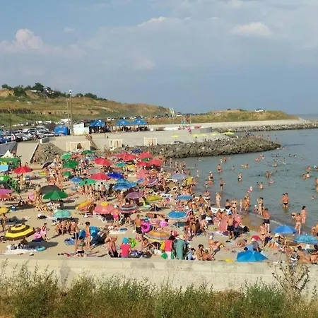 Apartment 1 комнатная