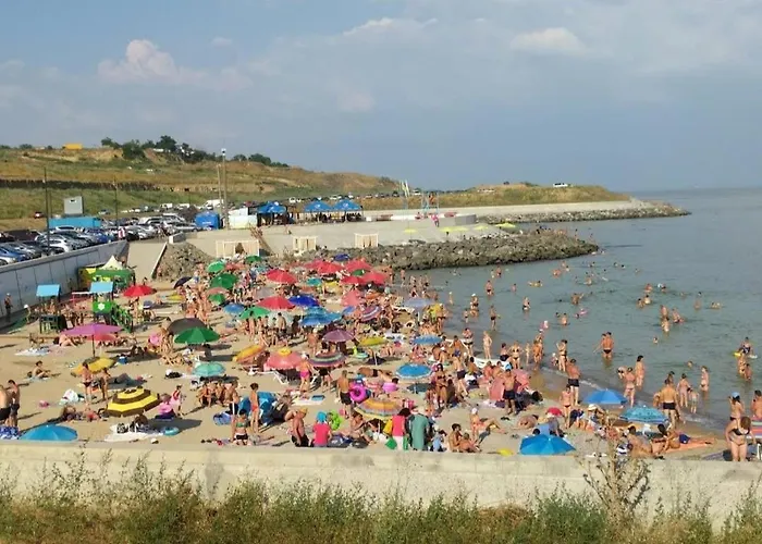 Apartment 1 комнатная